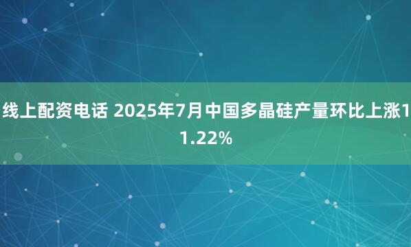 线上配资电话 2025年7月中国多晶硅产量环比上涨11.22%